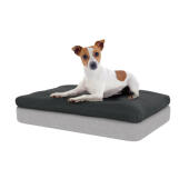 De traagschuimmatras en de antracietgrijze zitzak zullen uw hond een onovertroffen steun geven.