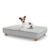 Een puppy rustend op het medium Topology puppybed met ronde houten pootjes