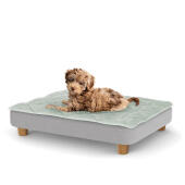 Een puppy rustend op het kleine Topology puppybed met ronde houten pootjes