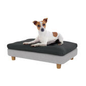 Jack russell in het kleine Topology hondenbed
