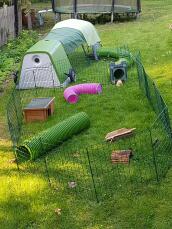 Een konijnenopstelling in een tuin met een groene Go en ren
