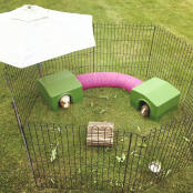 Twee cavia schuilplaatsen verbonden door een konijnentunnel.
