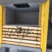 Bovenaanzicht van dummy bord