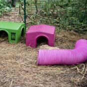Caviabuizen/tunnels