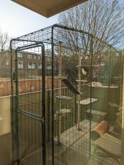 Een kat in zijn balkonkatio, rustend op zijn buitenkattenboom