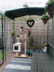 Jongens met een ochtendkoelte in hun catio 