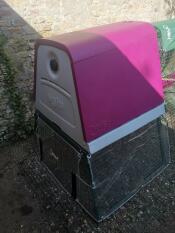 Een paarse Eglu Go kippenhok in een tuin