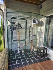 Kat zat op Freestyle kattenboom platform binnen balkon kattenverblijf.