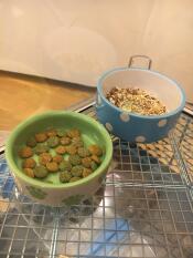 Gerbil voedsel
