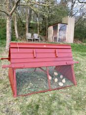Een houten kippenhok, rood geschilderd