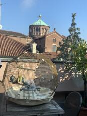 3 kleine vogels in hun kooi van Golden, op een zonnig balkon