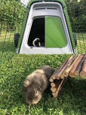Edith & molly gaan de lucht in