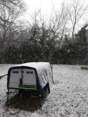 Een groot kippenhok van Cube in een tuin bedekt met Snow