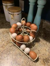 Veel eieren op de eierklutser eieropslag.