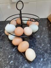 Ziet er geweldig uit met al onze verschillende gekleurde eieren, een echte keuken feature!