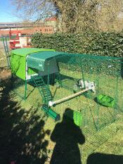 Een groot groen Cube kippenhok in een tuin met een ren, een overkapping, een zitstok en voederbakjes