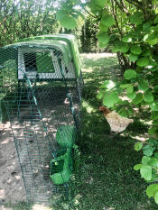 Cube kippenhok in een zonnige tuin met aangebouwde ren en overkapping
