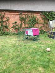Een paars groot Eglu Cube kippenhok met aangebouwde ren in een tuin