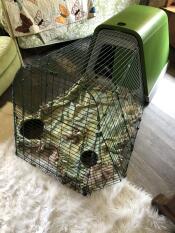 Een Eglu Go hok voor cavia's binnen opgesteld.
