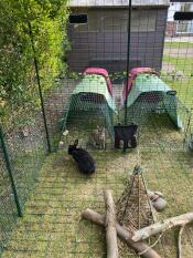 Reggie en franklyn houden van hun nieuwe huis