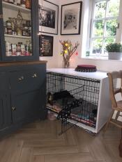 Juno's room - sussex