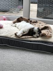 Ik hou van mijn nieuwe bed!