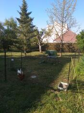 Een Go kippenhok achter wat kippenhekwerk met twee kippen in een tuin