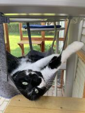 Volledige ontspanning