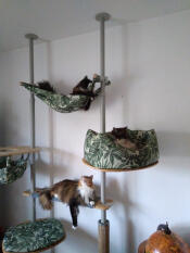 Wat een geweldige krabpaal. mijn katten zijn er dol op.