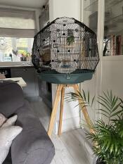 Nieuwe vogel in zijn mooie nieuwe kooi?