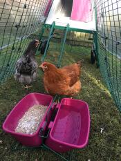 Voedsel en water stand