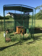 Omlet catio in tuin