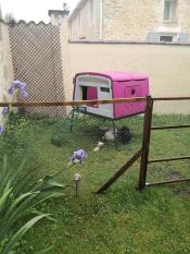 Groot paars Cube kippenhok in een tuin