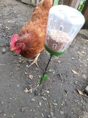 Kip en Omlet pik speelGoed