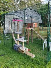 Katten in Omlet catio