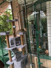 Omlet catio met krabpaal en kat erin