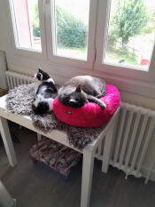Wat een plezier!