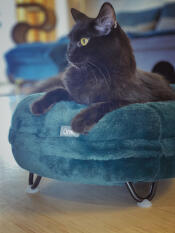 Jeremiah beandip is dol op het Maya donut bed!