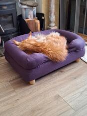 Een kat die slaapt in het paarse bolster kattenbed.