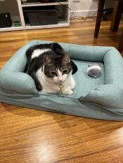 Luna houdt van haar nieuwe bed