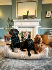 Drie honden zaten in de pawsteps natural nest dog bed.