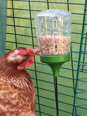Kip met Omlet pik speelGoed
