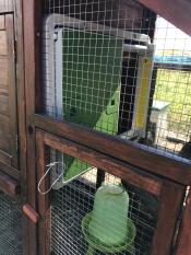 Omlet groene automatische kippenhok deur bevestigd aan houten kippenhok