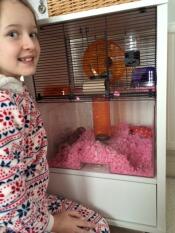 Twee gelukkige gerbils