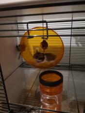 Hamster op de vlucht 