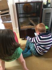 De kinderen vinden het geweldig om naar hun nieuwe huisdieren te kijken in hun Qute