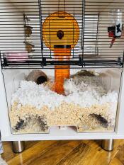 Ontsnappingsbestendig voor gerbils