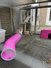 Speeltunnel