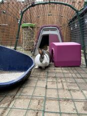 Zippie schuilhuis paars 