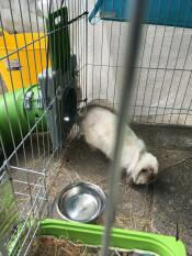 Lilly verlaat het tunnelsysteem.